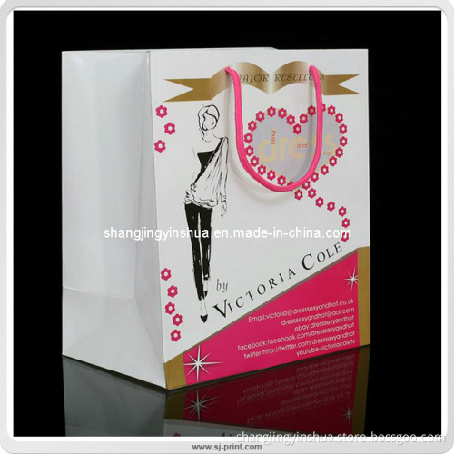 OEM Most Popular Professional Art Paper Shopping Bag